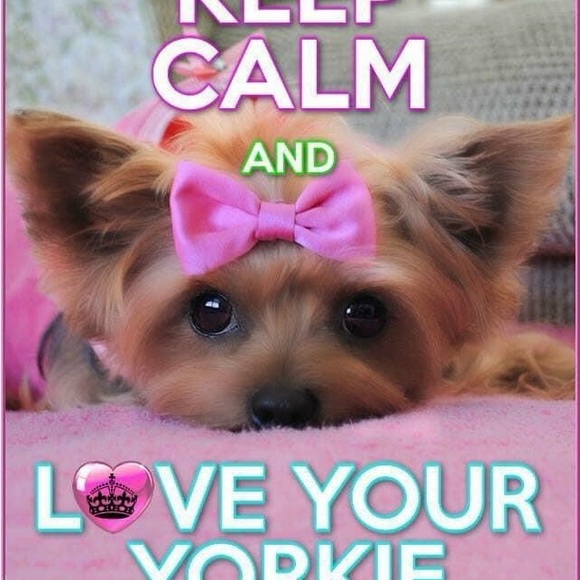 Meet your Posher, Brenda lee “Sassy” - Picture 4 of 5